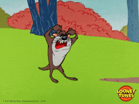 Taz GIFs - Get the best GIF on GIPHY