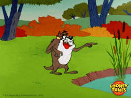 excited tazmanian devil GIF by Looney Tunes