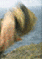 200.gif?cid=fc005b0889b831484441c4be11648192bf912fd52894071c&rid=200.gif&ct=g