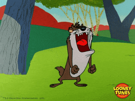 Angry Tazmanian Devil GIF by Looney Tunes