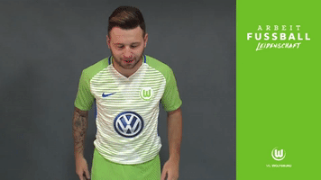 oh no wolves GIF by VfL Wolfsburg