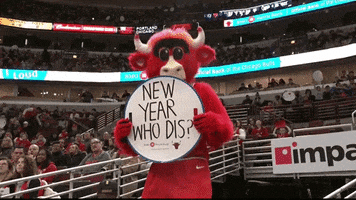 benny the bull bulls mascot GIF by Chicago Bulls