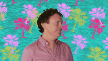 GIF by Bright Colors and Bold Patterns