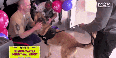 alexanderlockie  GIF