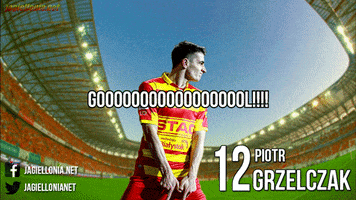 maciejrogowski  GIF