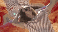 Acid-trip GIFs - Get the best GIF on GIPHY
