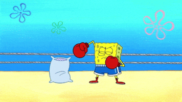 200.gif?cid=fc005b0881eb8678c9a68cca03935f133ad8175a59dbdca5&rid=200.gif&ct=g