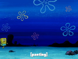 200.gif?cid=fc005b08d191b598ddcdd6cb7c62f9964f00639f182cc216&rid=200.gif&ct=g