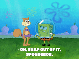 season 8 GIF by SpongeBob SquarePants