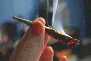 mrx dropacid GIF