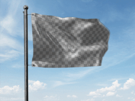 piotrszmiyk  GIF