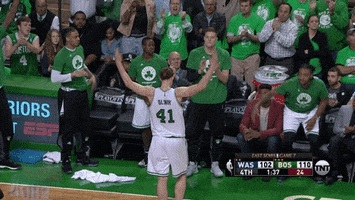 get excited boston celtics GIF by NBA