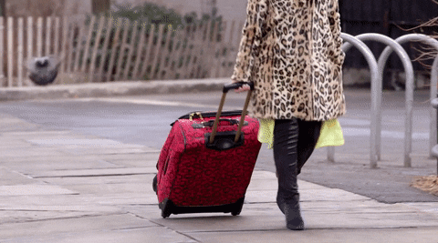 Tlc Travelling GIF by Girl Starter - Find & Share on GIPHY