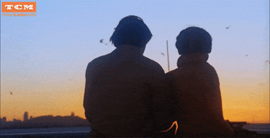 harold and maude GIF by Turner Classic Movies