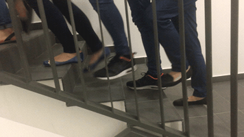 FKrisz93 lepesszamlalas GIF