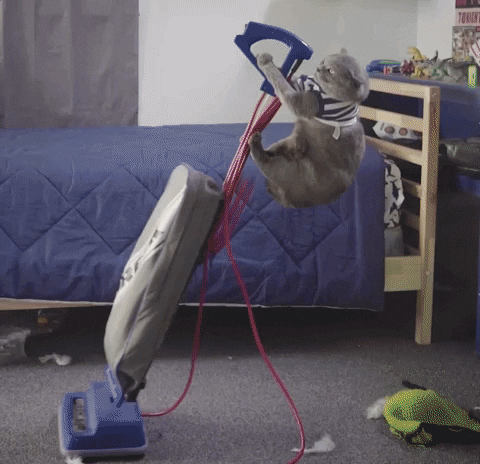 clean up cleaning GIF by Bubble Witch