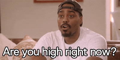 high basketball wives GIF by VH1
