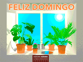 emglob feliz domingo GIF