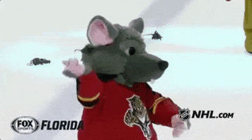 ice hockey fl panthers GIF by NHL
