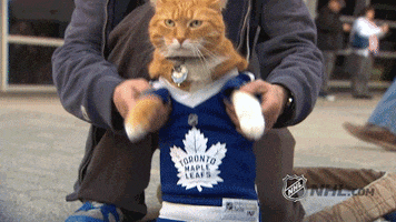 Ice Hockey Cat GIF by NHL
