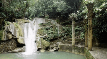 mexico great gardens las pozas GIF by NOWNESS