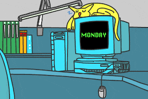 Working Days Of The Week GIF