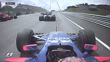 markdailey  GIF