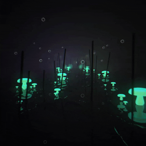 Lights Bubbles GIF by Dean Moroney