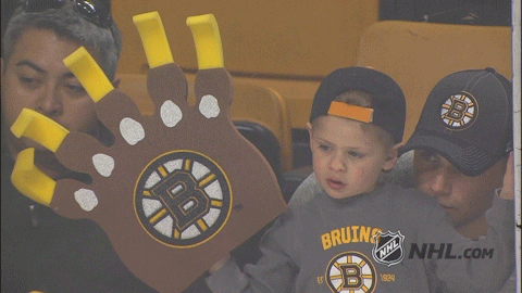Hockey Time Bruins Fans