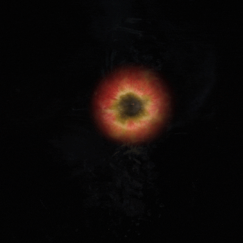 Kara Zona GIF