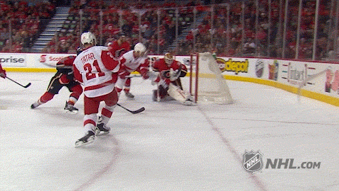 GIF: Red Wings F Tomas Tatar splits and embarrasses Stars defense