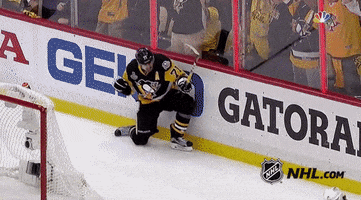2017 stanley cup finals hockey GIF by NHL