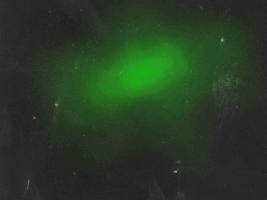 jobrasileiro prisaomtst-sp_jornalistaslivres GIF