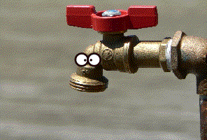 #Drainpipe #Sneeze GIF by daveydoodlebug