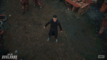 681293  GIF