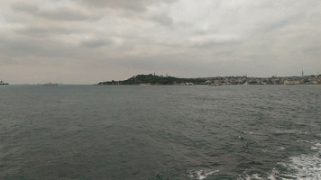 robertoa  GIF