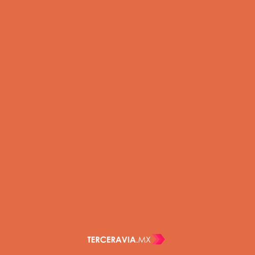 pamela  GIF