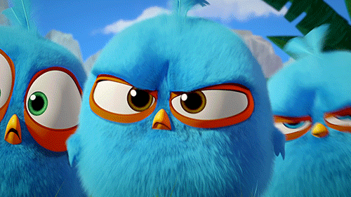 Image result for stern look gif angry bird"