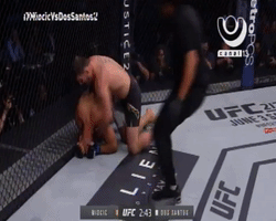 vivanicaragua13  GIF