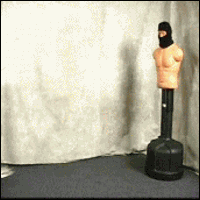 alvintims  GIF