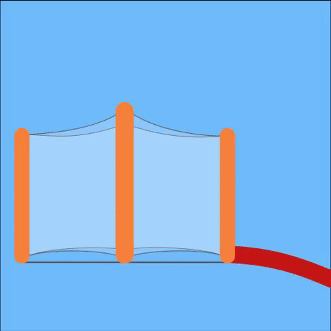 FernandaX  GIF