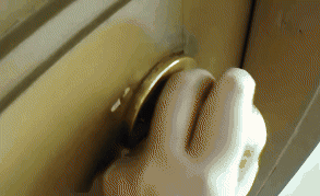 cats who are warmingly welcomming their humans GIF