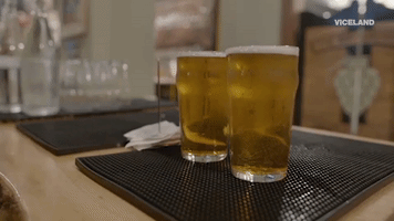 viceland GIF by BEERLAND