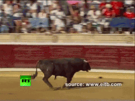 zior bull toro GIF