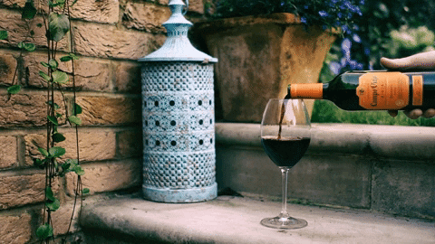 Campo Viejo UK celebrate wine glass spain GIF