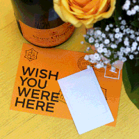 Wish You Were Here GIF by Chandelier Creative