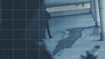 BOT  GIF