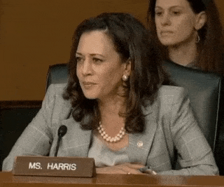 Kamala Harris Meme GIF by Ari Spool - Find & Share on GIPHY