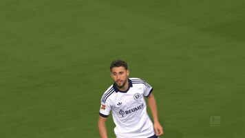 Celebration Goal GIF by FC Schalke 04
