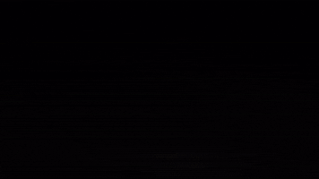 SlumDawgBillionaire GIF